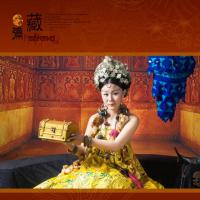 /photo/741252/西藏之旅/psb (1)_1_4_small.jpg